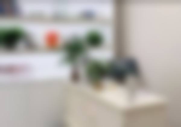 四、艾尔·莫尔斯医生医生口碑如何