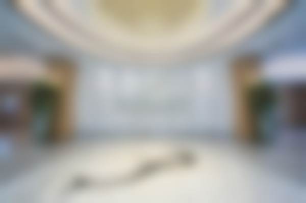 五、武汉美莱医疗美容医院价格表区间/收费标准说明