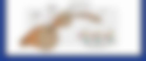 二、张雪松擅长项目及优势