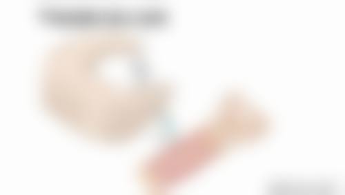 二、田聪儿擅长项目及优势：