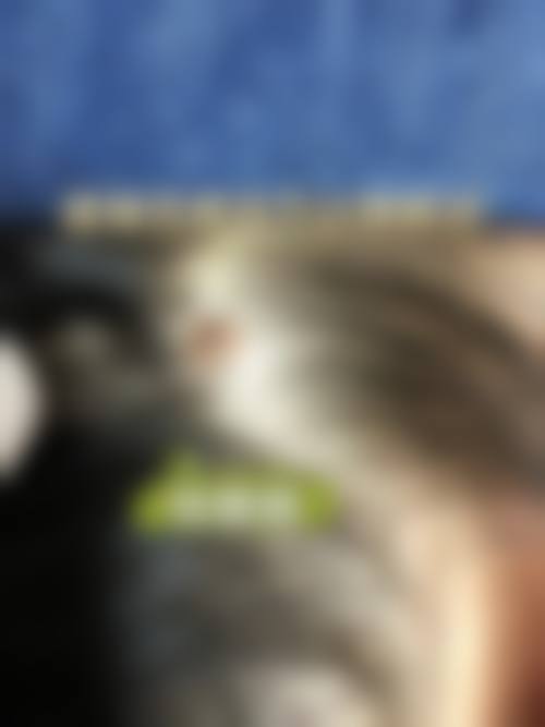 韩国普瑞美整形外科医生团队介绍