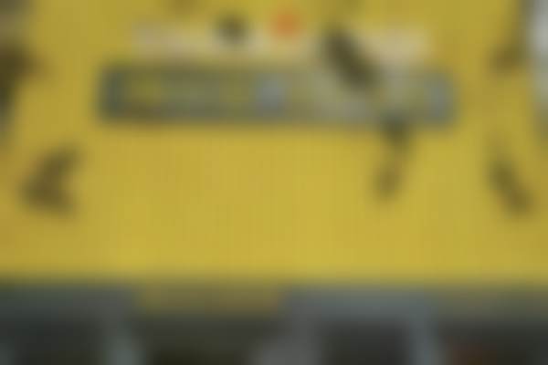 商丘城乡一体化示范区颜小柒医疗美容诊所收费价格表/收费标准