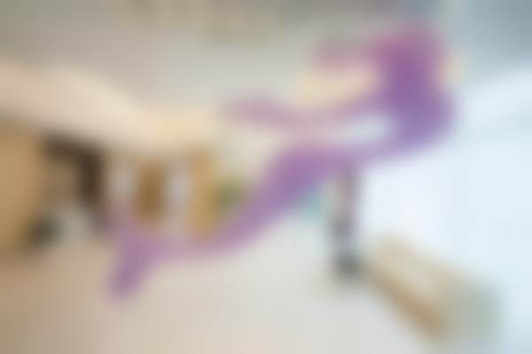 白玉龙医生职称荣誉：