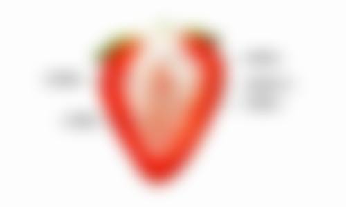 四、辽源矿业集团总医院特色诊疗项目