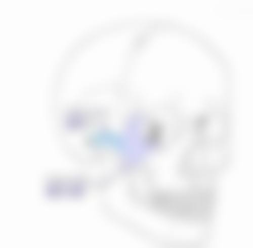 患者常见就诊关注点说明