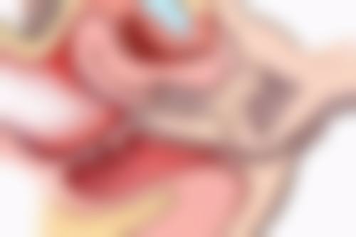 十、沈阳美莱医疗美容医院(口腔科)口碑评价