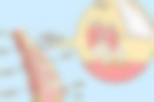 🌟 鼻部艺术定制 —— 挺翘弧度间彰显立体美学