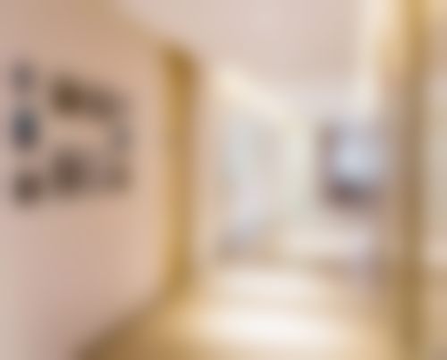 四、王平医生技术优势与操作流程