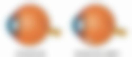 沈小雁医生执医荣誉