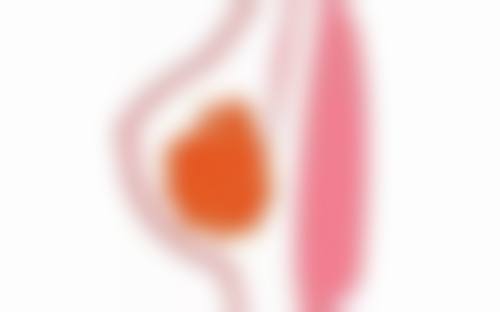 六、上海第一人民医院