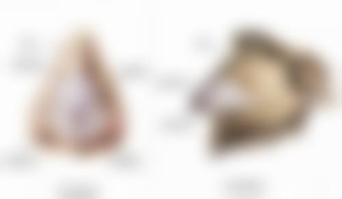 杭州悦可医疗预约挂号流程详解