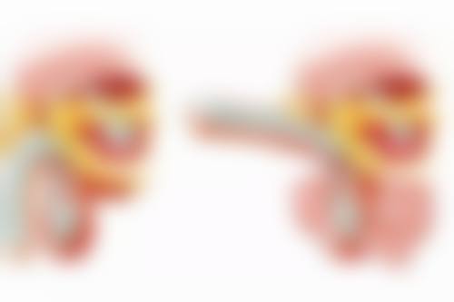 广州利美康粤美医疗美容门诊部