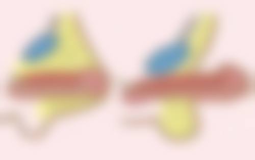 杨国明医生收费价格：