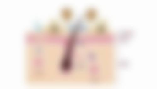 成都美容整形医院私密科的正规资质是李挺手术成功的基础吗?