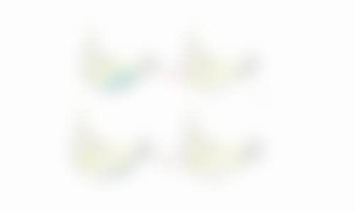 五、患者参考信息