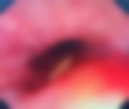 沈阳北方整形医院