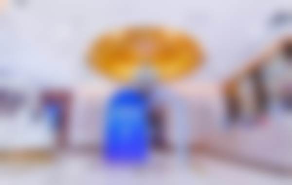 李晓蓉医生技术水平高