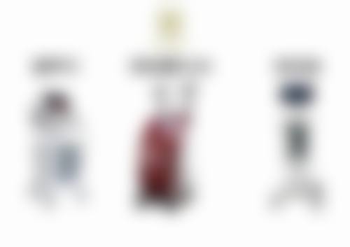 三、刘屾医生职称荣誉