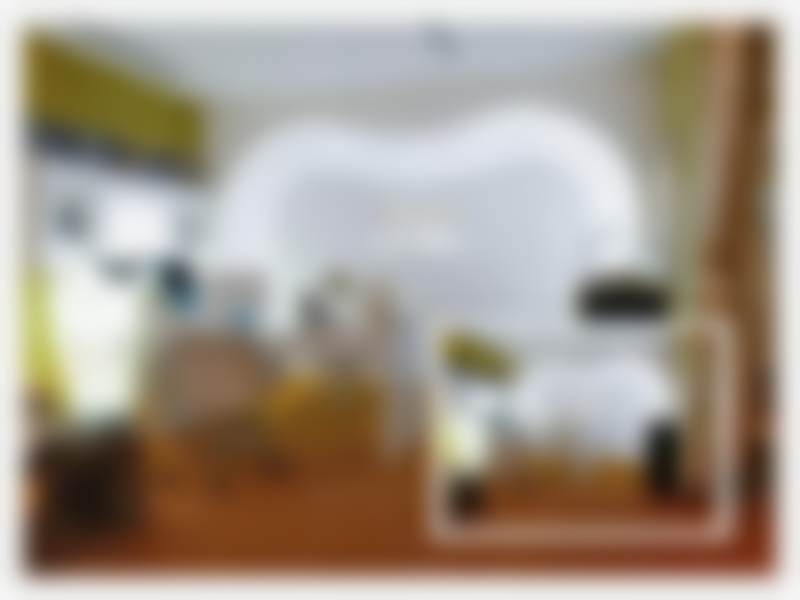 二、宋蔚医生擅长项目：