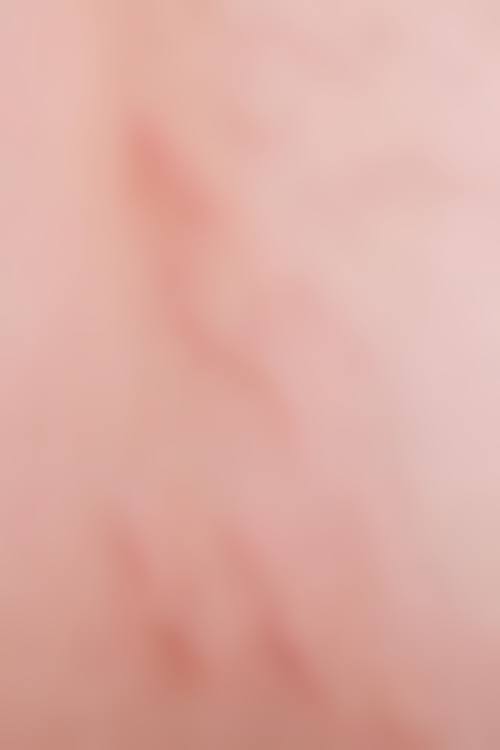 1、价格表区间参考/收费标准2026参考(单位:元起)