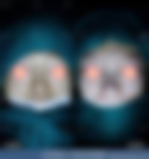 四、田莉医生执医荣誉