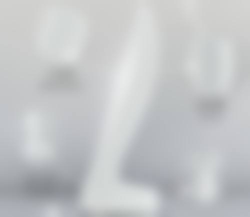 二、李挺医生执业背景与任职经历