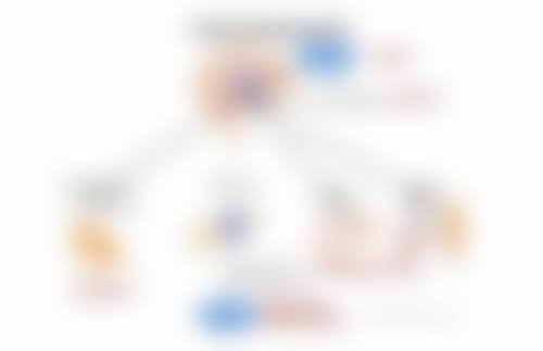 七：就诊流程与注意事项（术前术后）