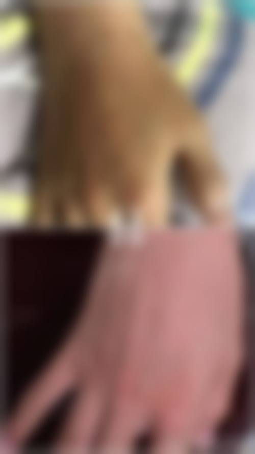 九、蚌埠经济开发区东方美莱坞医疗美容门诊部口碑如何