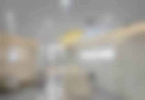 二、白雪医生擅长项目