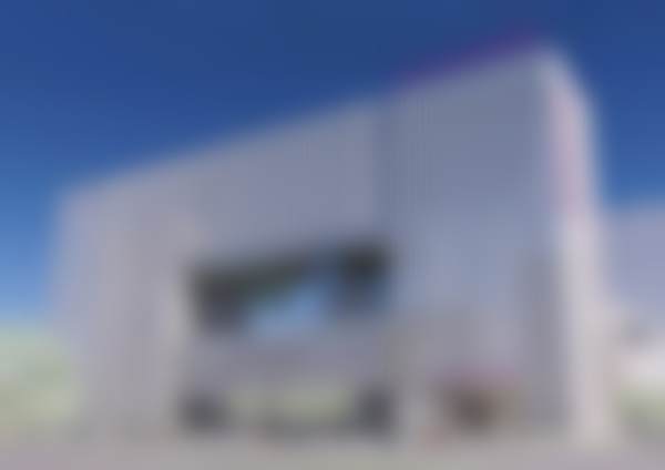 牛文贺医生收费价格