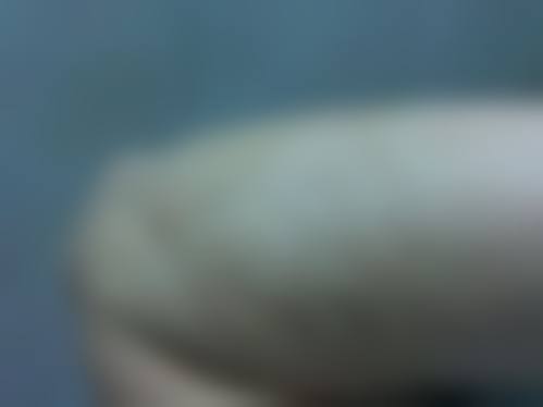 十四、韩国omega整形外科医院预约挂号