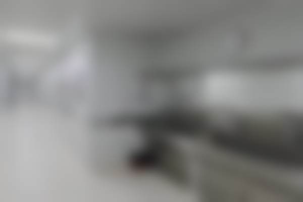 五. [透明化收费标淮][2025年全新参考价目]