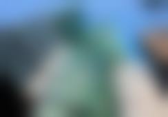 四、秦畅医生收费价格