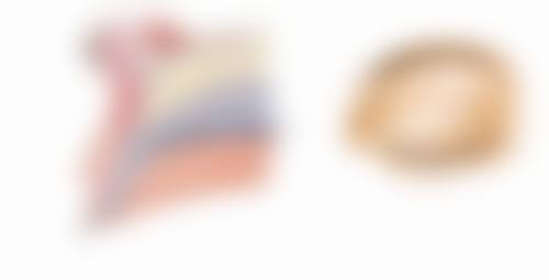 单眼皮和双眼皮哪个多一点？全球及国内数据揭秘比例差异，还分析生理外观区别！ 