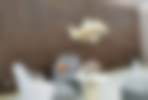 三、黄林玉医生技术水平高