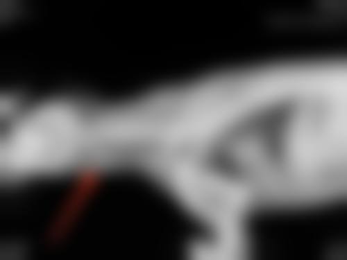 三、巴中巴州依韩尚美整形医院开展项目