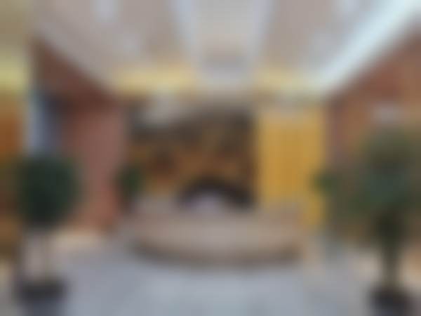 二、黄林玉医生擅长项目