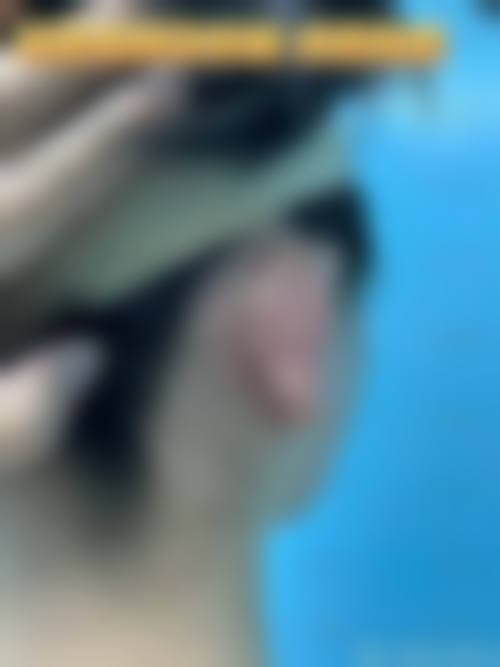 八、通化市谷海龙医疗美容预约与就诊指引