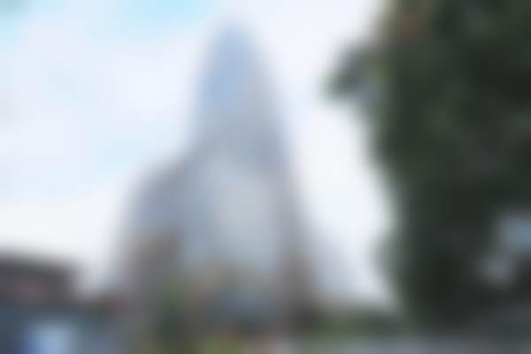 七、杨国梁医生价格表（2026年全新）