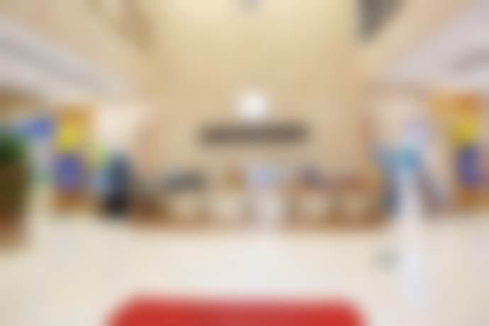 三、宋富贵擅长项目及优势