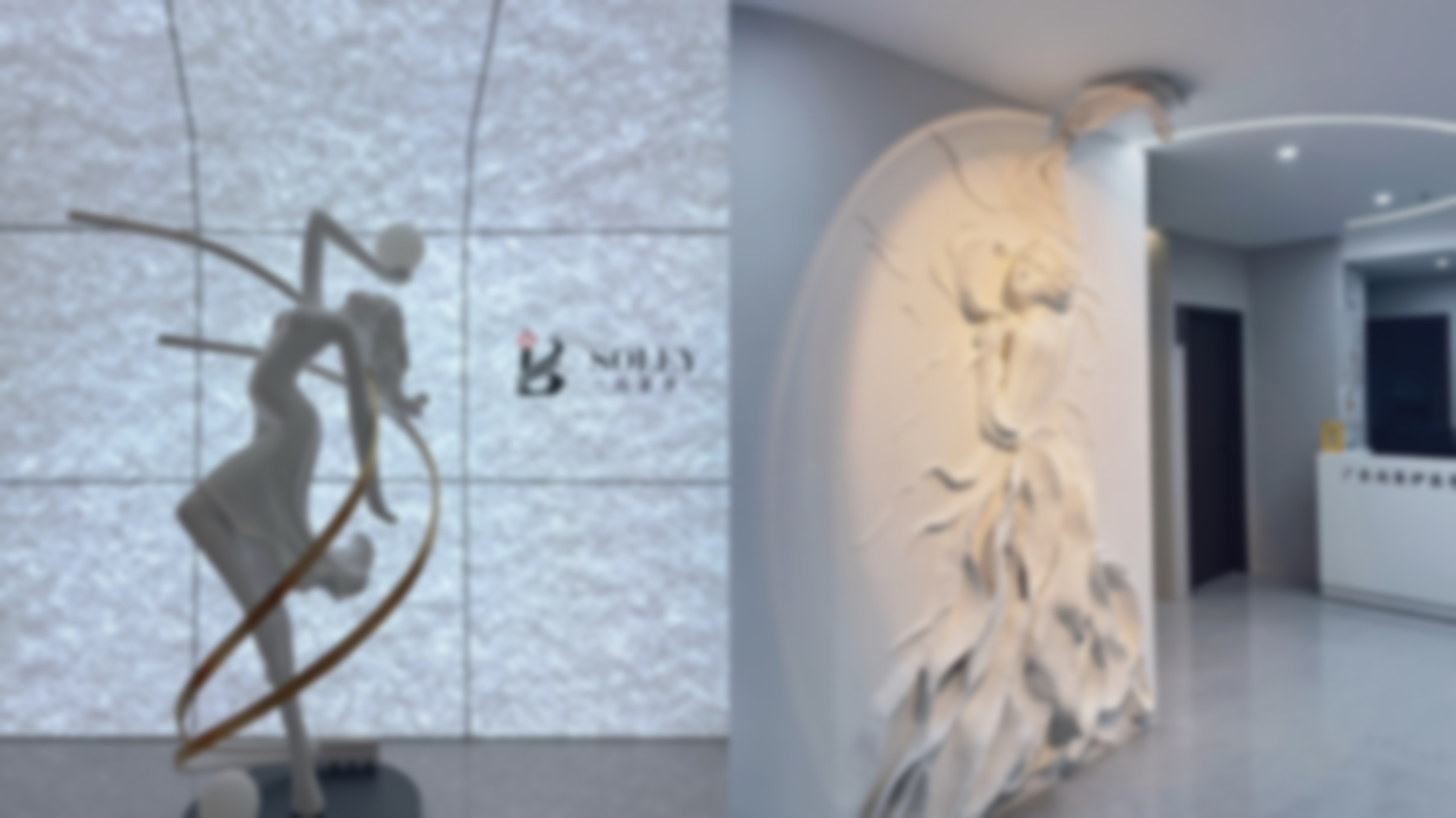 二、广东尚莱伊医学美容诊所基础信息