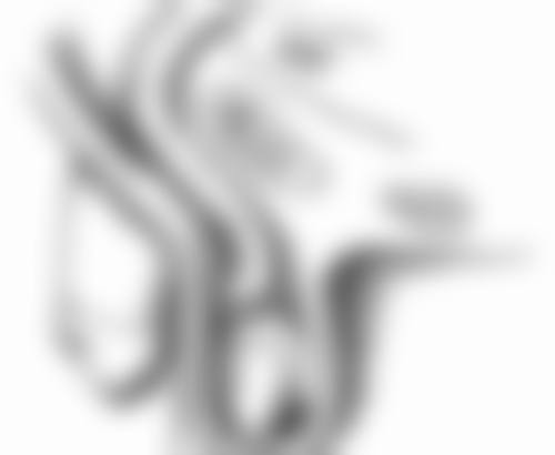 上海德真会齿科（静安诊所）患者常见问题解答（精选 ）