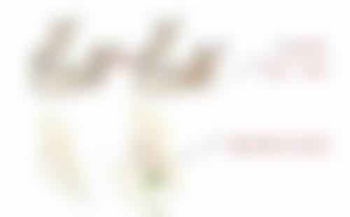 天津仁爱医院特色技术优势及特色技术服务