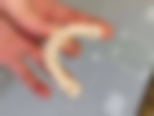 预约优惠活动