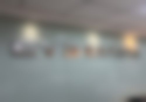 二、胡振平医生执业背景与任职经历