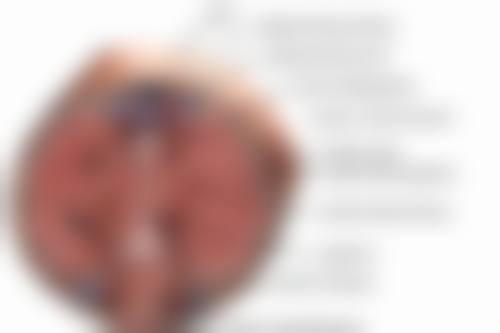 韓國4月31日香港人实例:香港vs深圳價錢對比(2026全新)