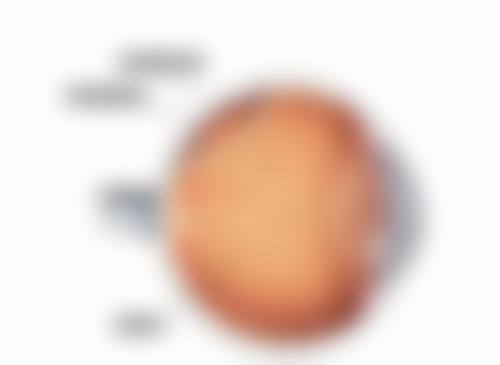 1、口碑与评价参考