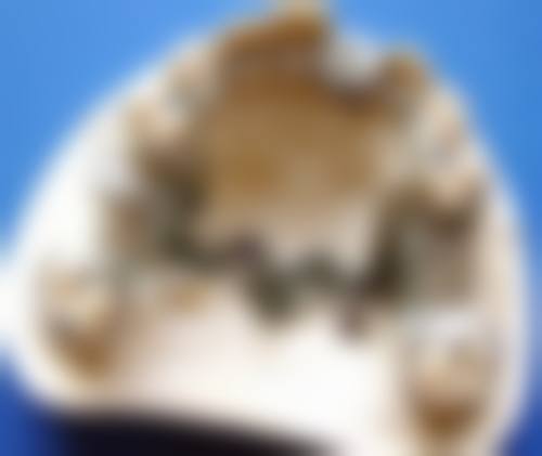 服务流程与患者保护