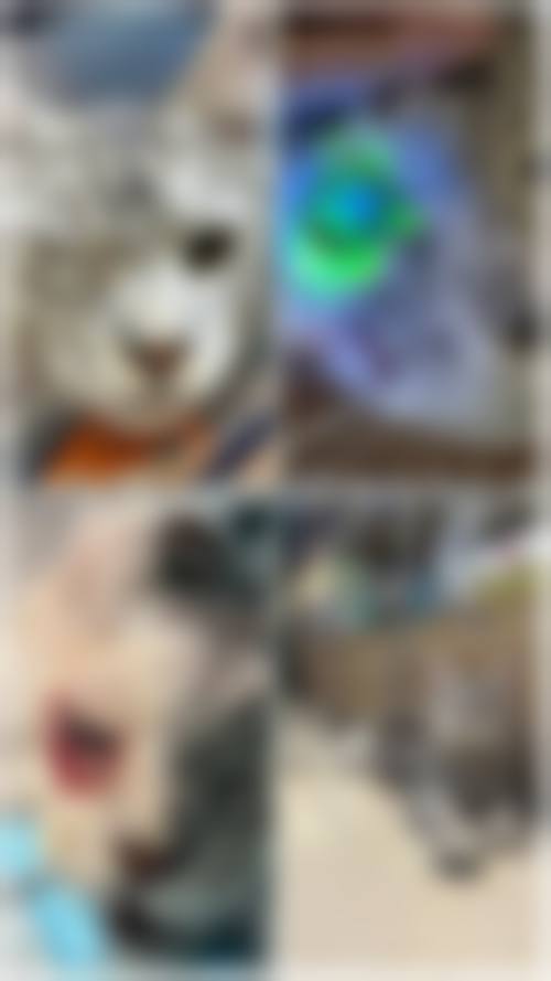 设备环境介绍