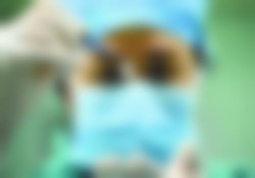 王段医生擅长哪些项目